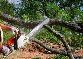 Lawn Pest Prevention in Lowell, IN